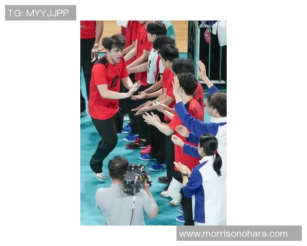 排球热议：杭州排球队的力量争议